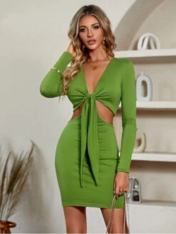 Solid Long Sleeve Waist Cut Slim Dress -Define Your Shop P 20230719165740556 138