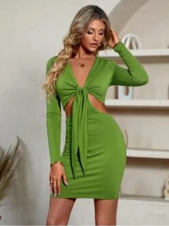 Solid Long Sleeve Waist Cut Slim Dress -Define Your Shop P 20230719165745750 818