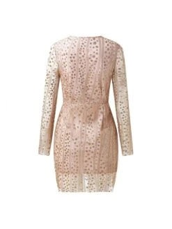 Hotfix Rhinestones Mid-rise Fitted Long Sleeve Dresses 12 Hotfix Rhinestones Mid-rise Fitted Long Sleeve Dresses -Define Your Shop P 20240109173009719 153