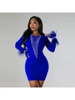 Embellished Feather See Through Mini Dress -Define Your Shop P 20240130113025830 833