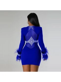 Embellished Feather See Through Mini Dress -Define Your Shop P 20240130113027858 943