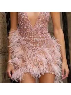 Feather Plunging Neckline Lace Sleeveless Dresses 19 Feather Plunging Neckline Lace Sleeveless Dresses -Define Your Shop P 20240320134007320 987