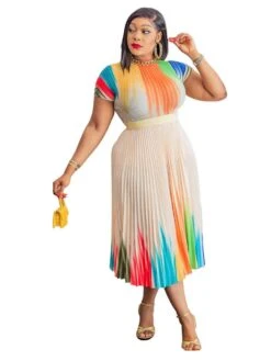 Colorblock Pleated Swing Short Sleeve Dress -Define Your Shop P 20240608121622659 665