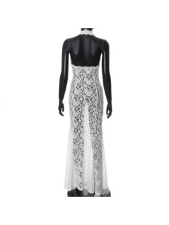 Patchwork Halter Neck Lace Sleeveless Maxi Dresses 33 Patchwork Halter Neck Lace Sleeveless Maxi Dresses -Define Your Shop P 20240620084808739 325
