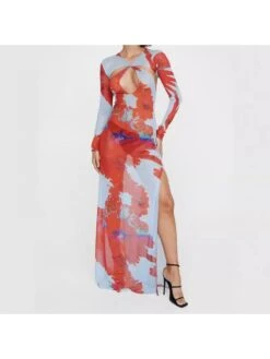 See Through Hollow-out Split Hem Backless Long Sleeves Dress