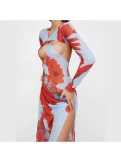 See Through Hollow-out Split Hem Backless Long Sleeves Dress -Define Your Shop P 20240621155220316 250